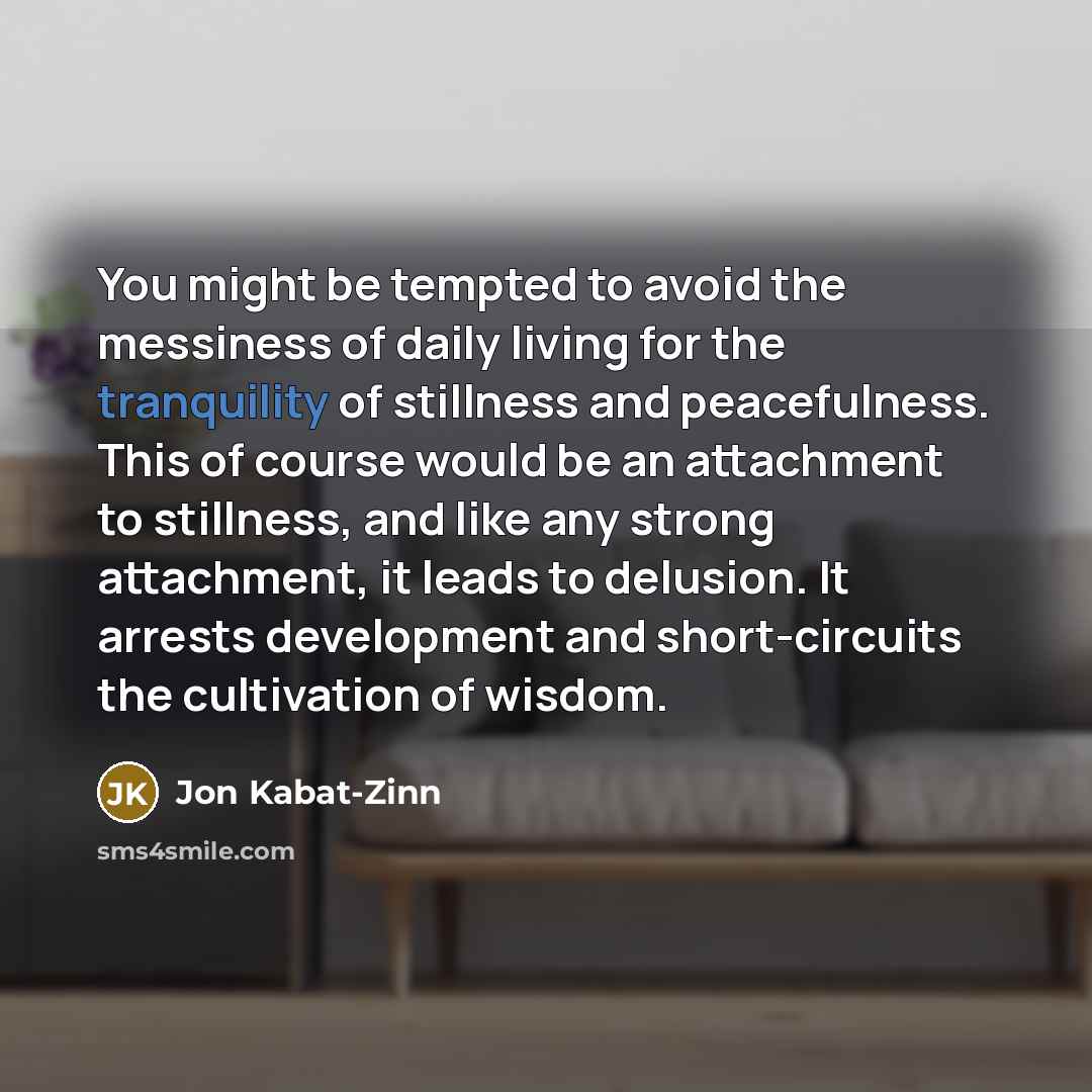 “You might be tempted to avoid the messiness of daily…” quote by Jon Kabat-Zinn
