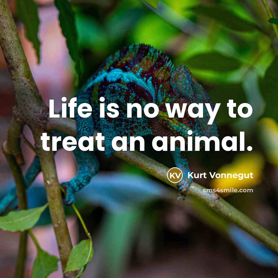 “Life is no way to treat an animal.…” quote by Kurt Vonnegut