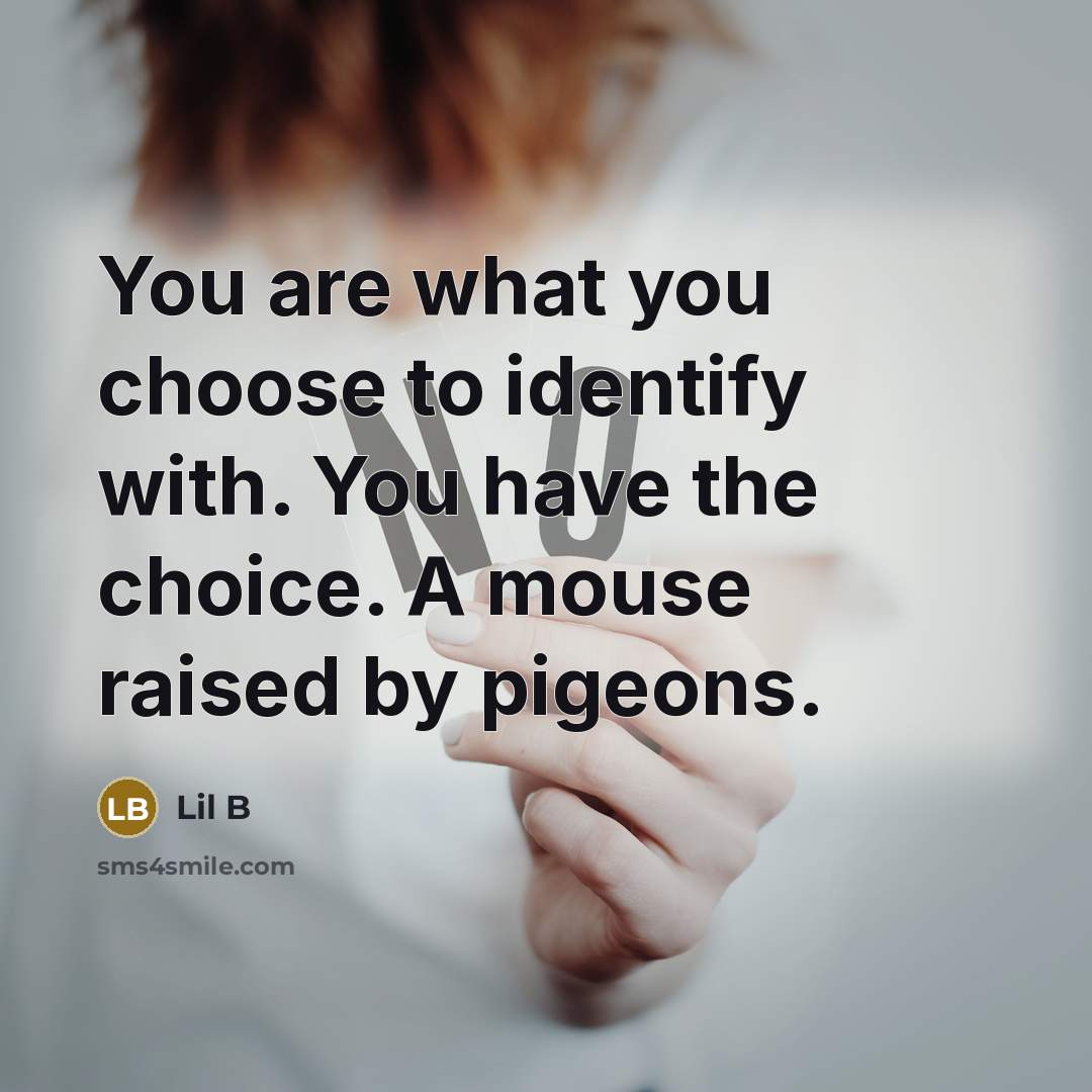“You are what you choose to identify with. You have…” quote by Lil B
