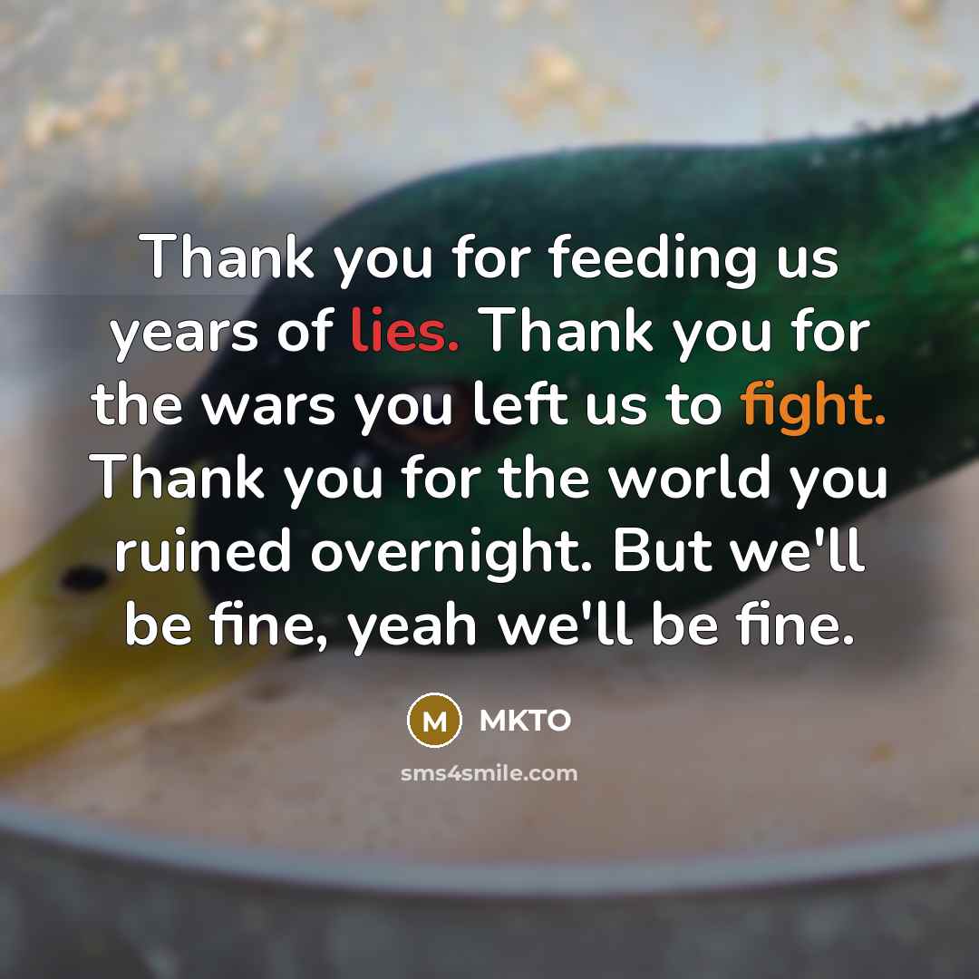 “Thank you for feeding us years of lies. Thank you…” quote by MKTO