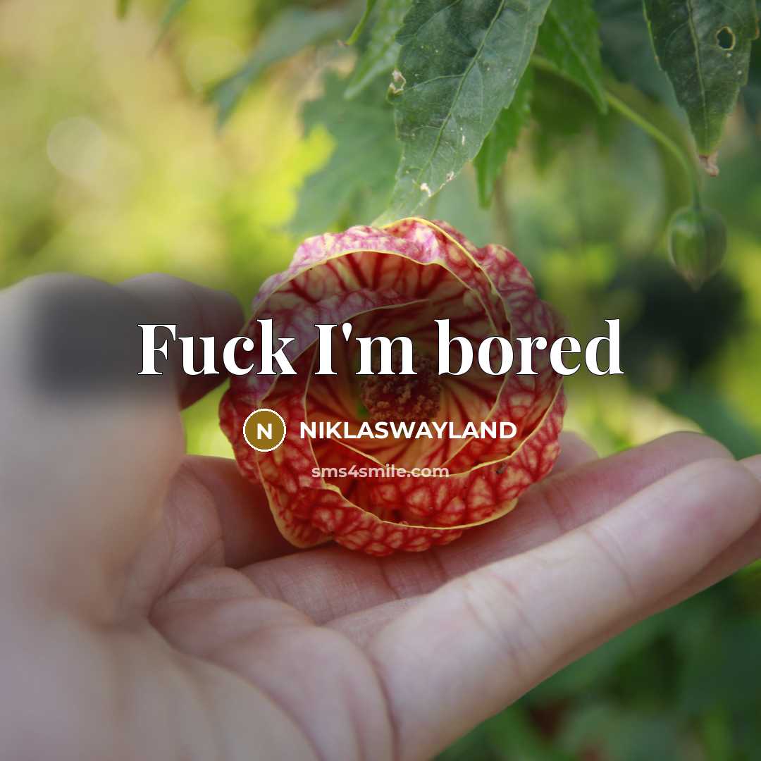 “Fuck I'm bored…” quote by NIKLASWAYLAND