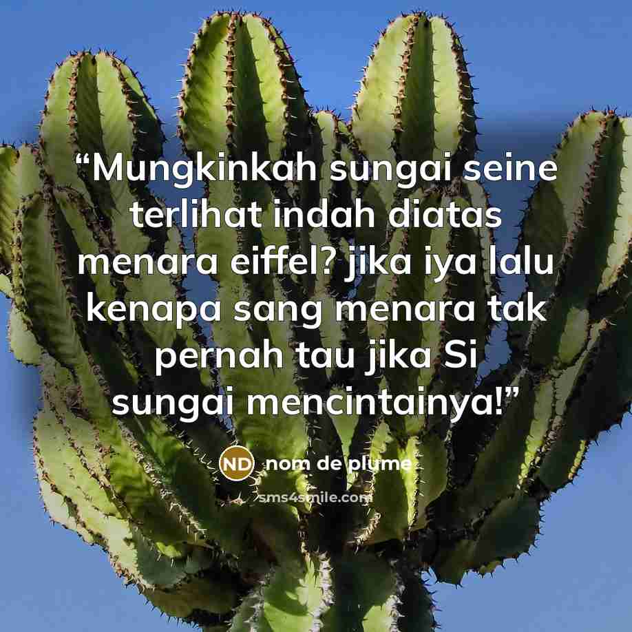 “Mungkinkah sungai seine terlihat indah diatas menara eiffel? jika iya lalu kenapa sang menara tak pernah tau jika Si sungai mencintainya!” quote by nom de plume