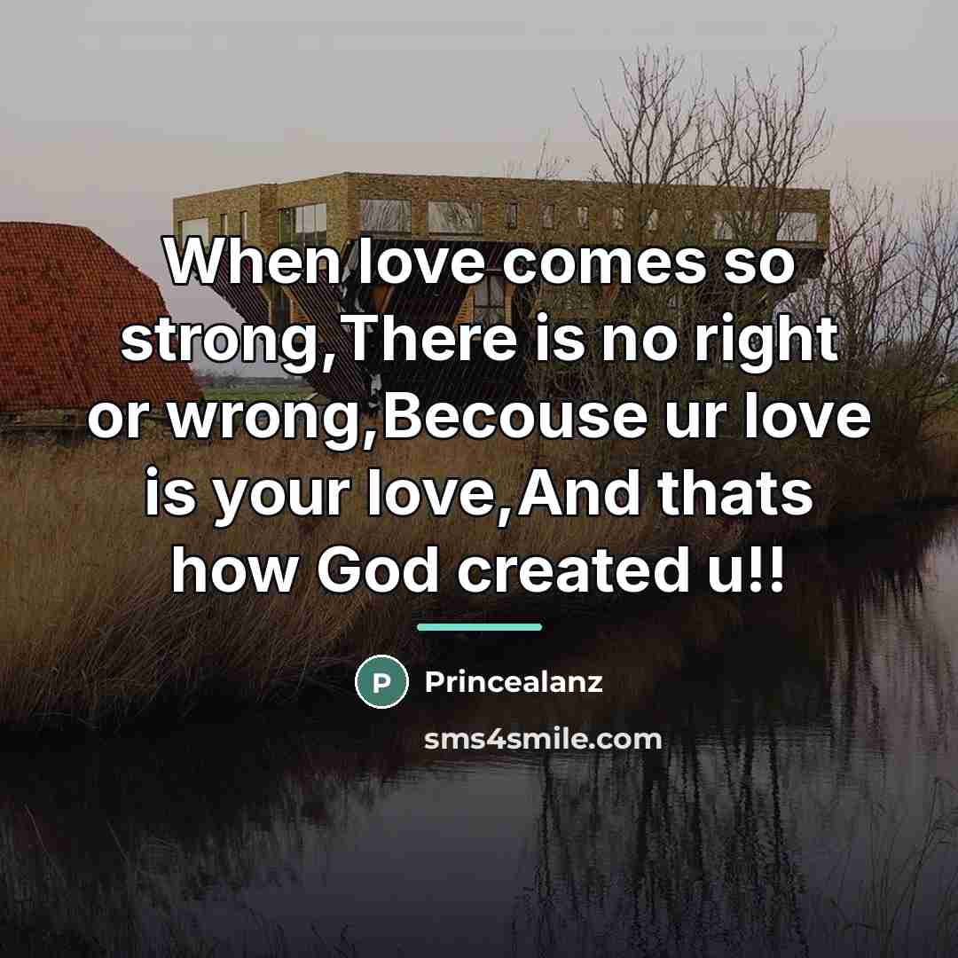 “When love comes so strong,There is no right or wrong,Becouse…” quote by Princealanz
