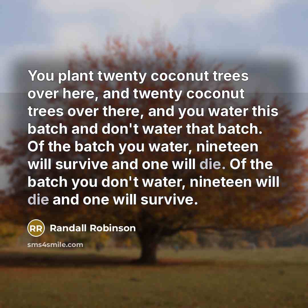 “You plant twenty coconut trees over here, and twenty coconut trees over there, and you water this batch and don't water that batch. Of the batch you water, nineteen will survive and one will die. Of the batch you don't water, nineteen will die and one will survive.” quote by Randall Robinson