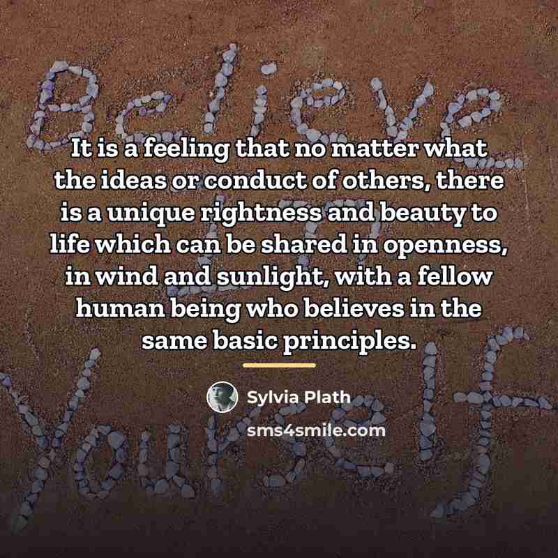 “It is a feeling that no matter what the ideas…” quote by Sylvia Plath