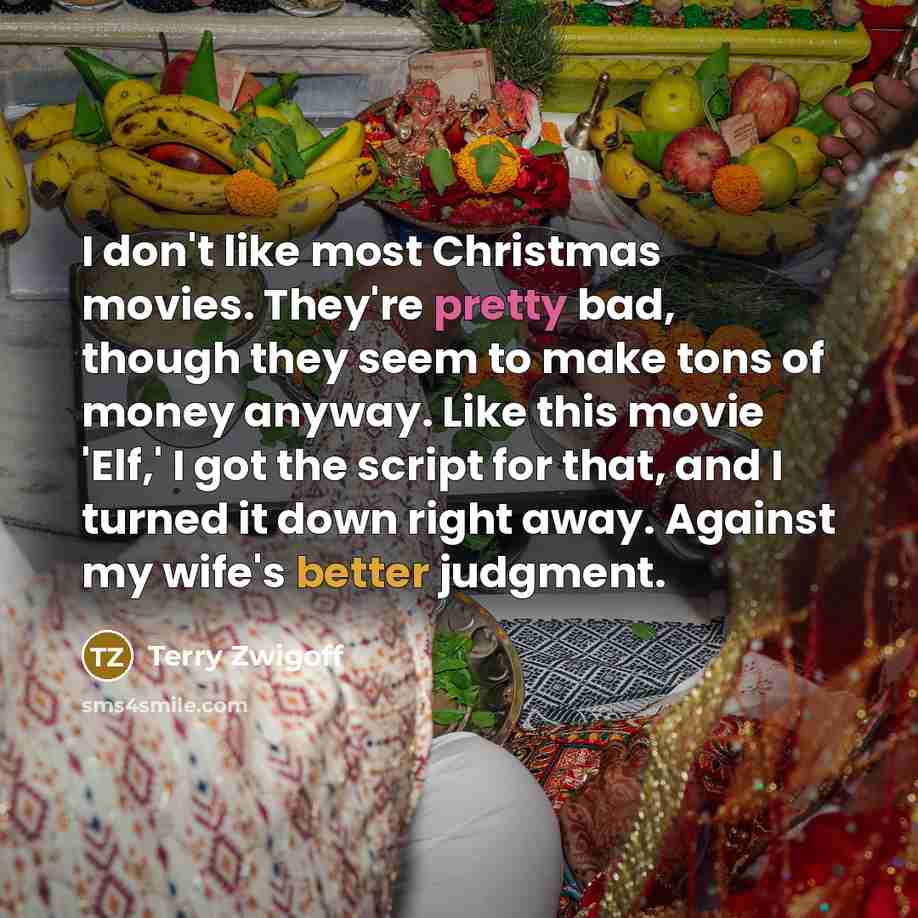 “I don't like most Christmas movies. They're pretty bad, though…” quote by Terry Zwigoff