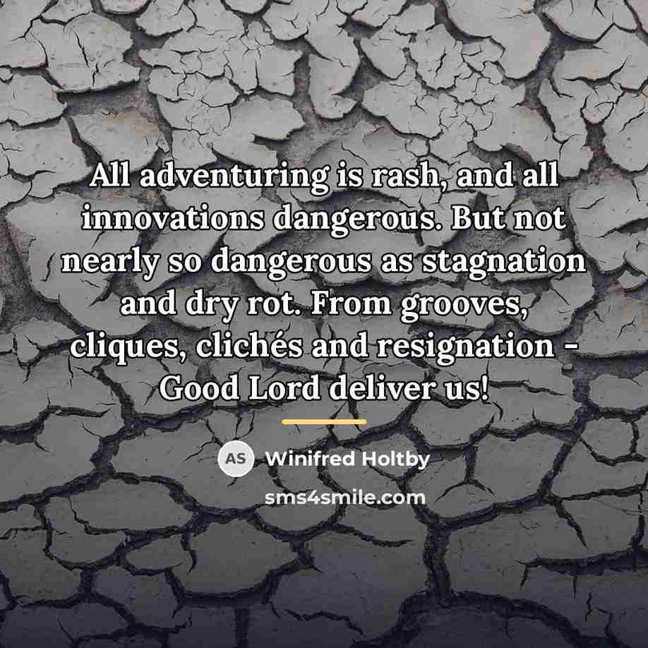 “All adventuring is rash, and all innovations dangerous. But not…” quote by Winifred Holtby