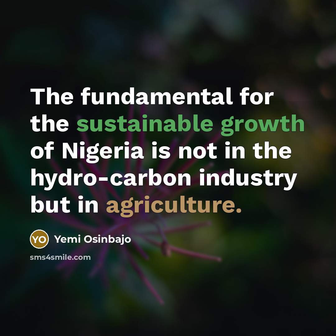 “The fundamental for the sustainable growth of Nigeria is not…” quote by Yemi Osinbajo