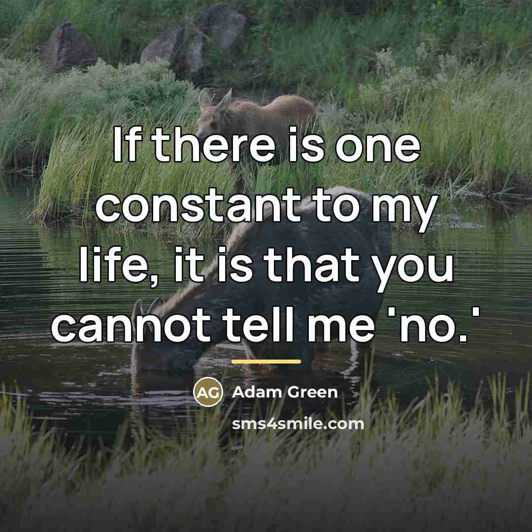 “If there is one constant to my life, it is…” quote by Adam Green