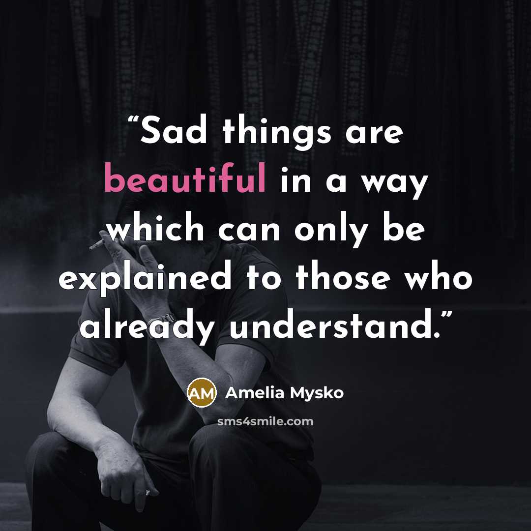 “Sad things are beautiful in a way which can only be explained to those who already understand.” quote by Amelia Mysko