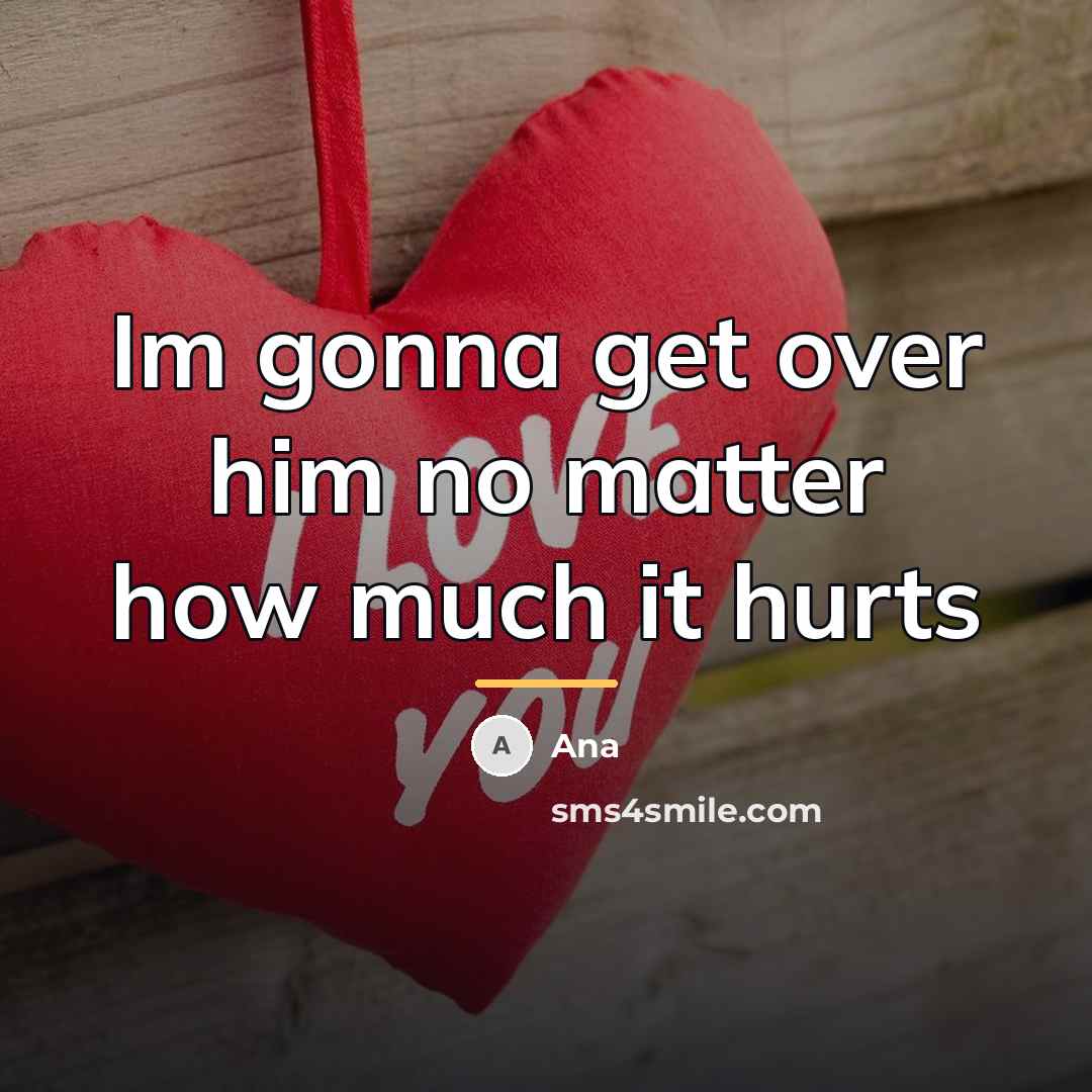 “Im gonna get over him no matter how much it…” quote by Ana