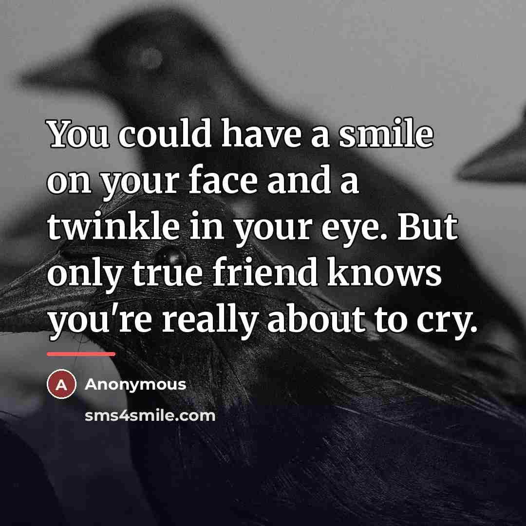 “You could have a smile on your face and a…” quote by Anonymous