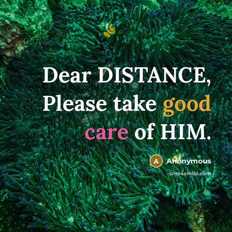 “Dear DISTANCE, Please take good care of HIM.…” quote by Anonymous