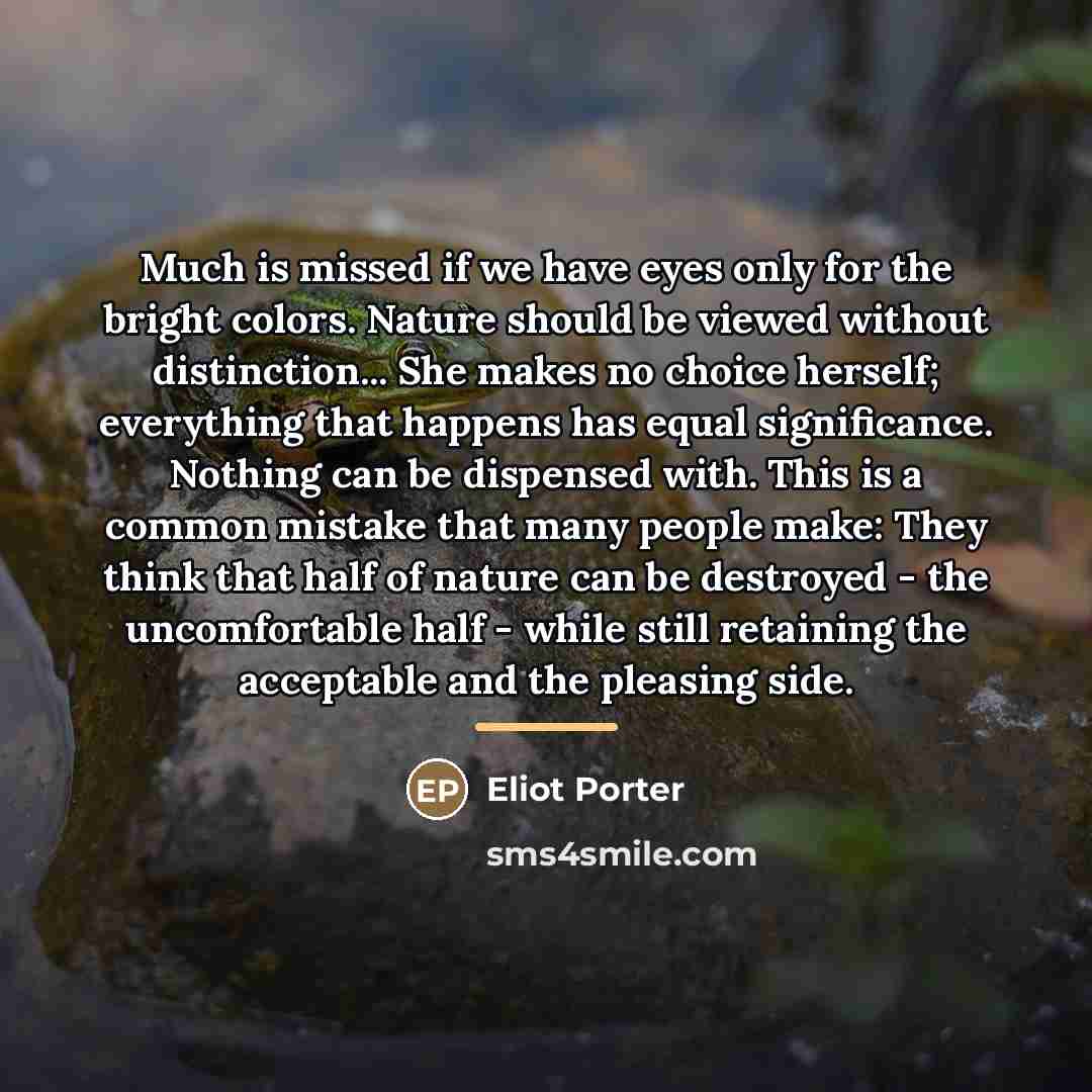 “Much is missed if we have eyes only for the…” quote by Eliot Porter