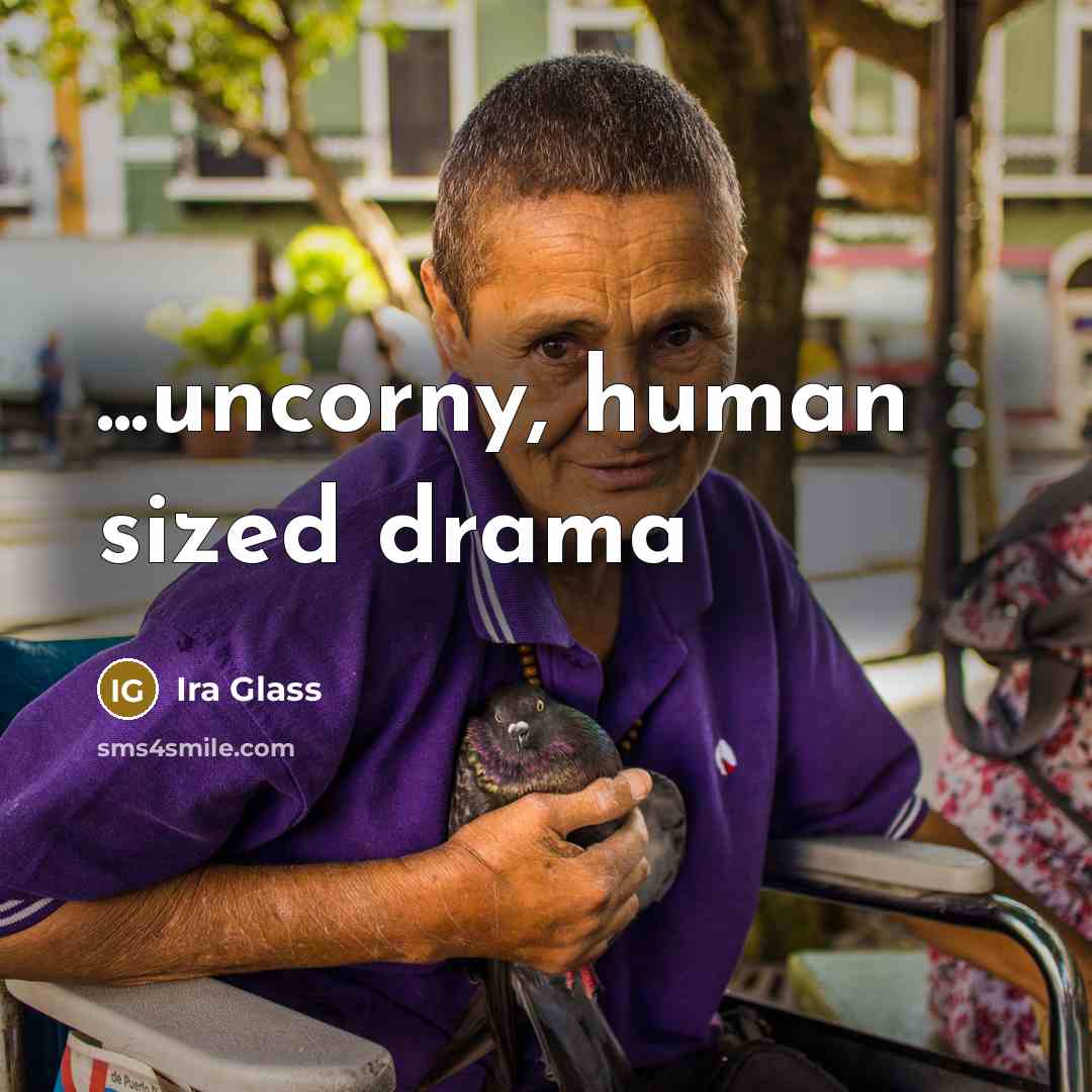 “...uncorny, human sized drama…” quote by Ira Glass