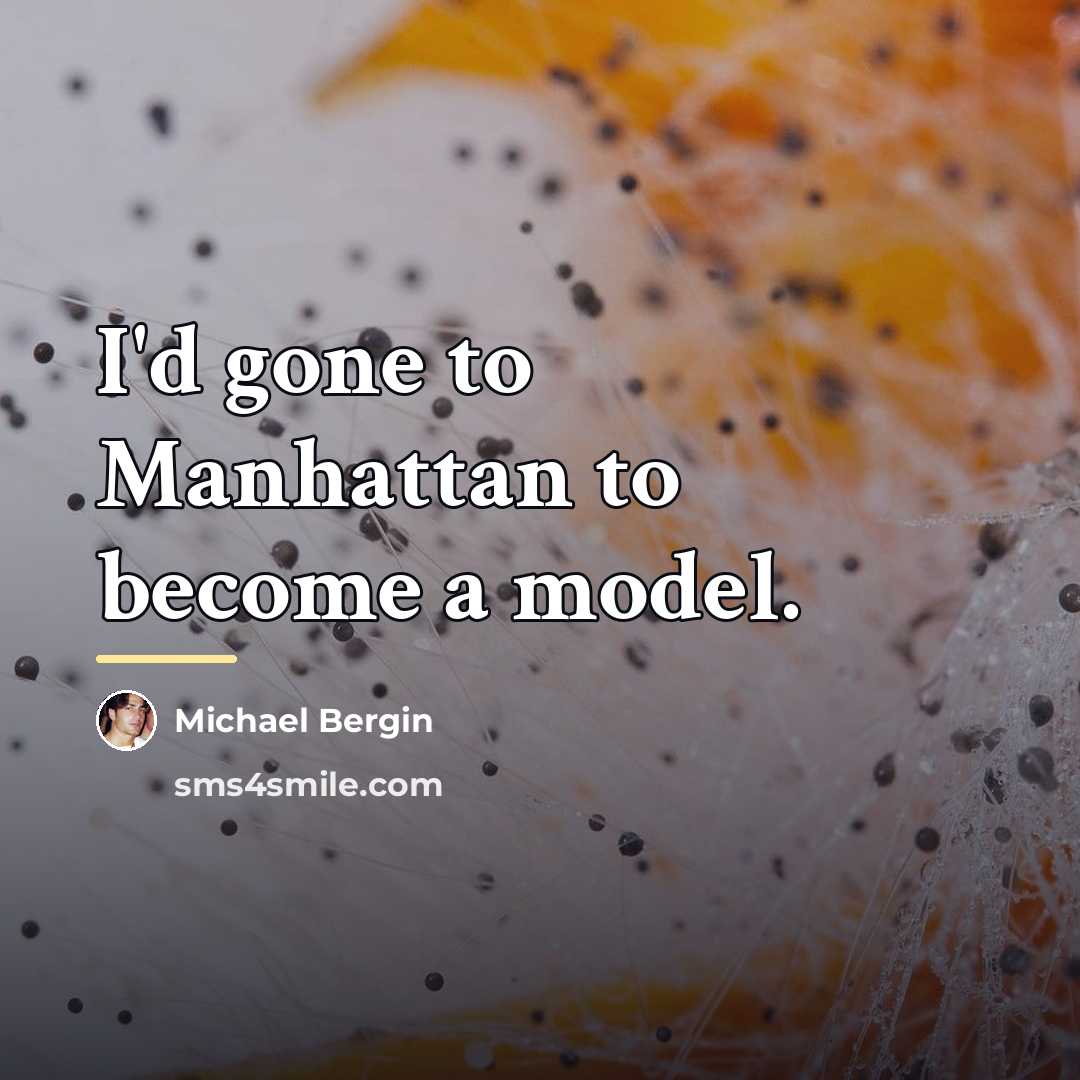 “I'd gone to Manhattan to become a model.…” quote by Michael Bergin