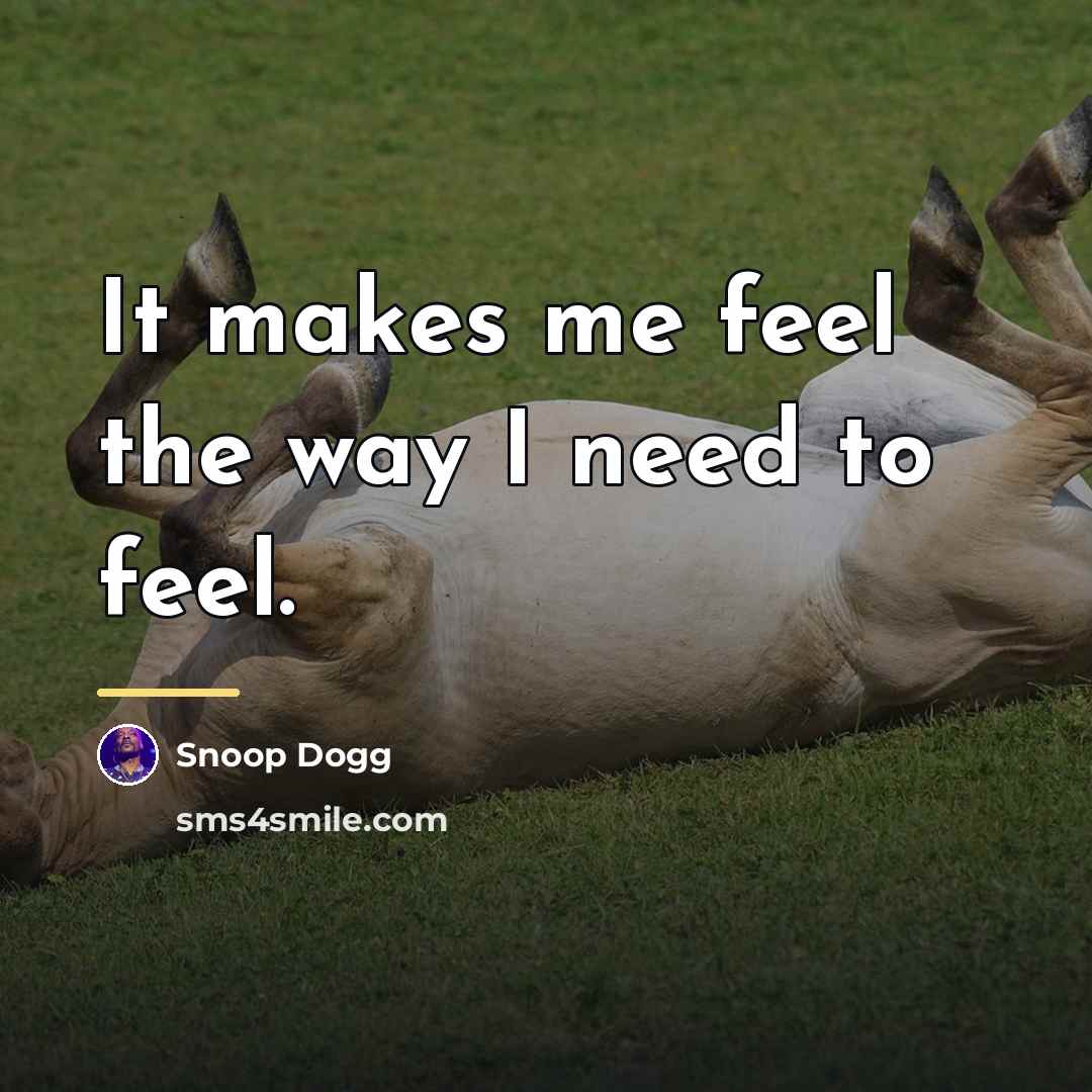“It makes me feel the way I need to feel.…” quote by Snoop Dogg