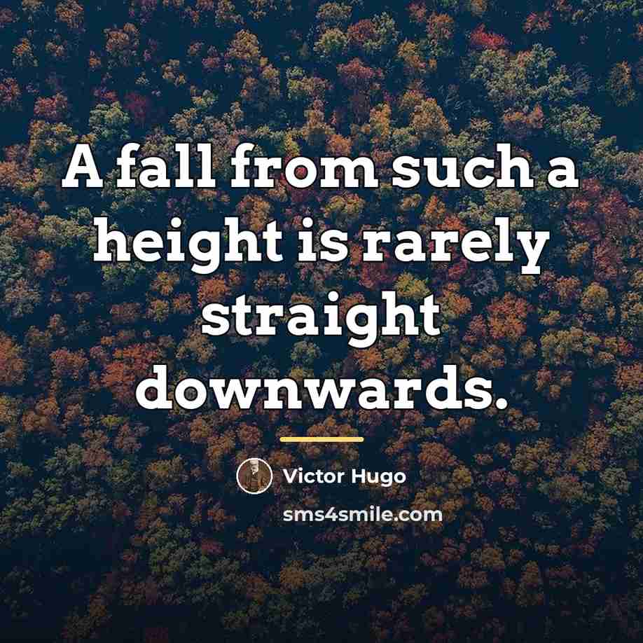 “A fall from such a height is rarely straight downwards.…” quote by Victor Hugo