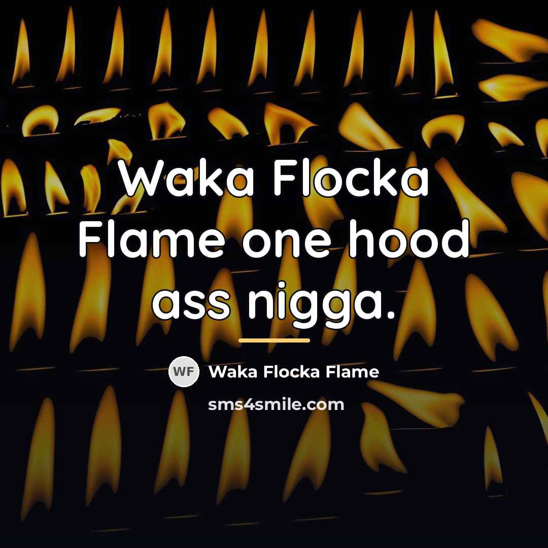“Waka Flocka Flame one hood ass nigga.…” quote by Waka Flocka Flame
