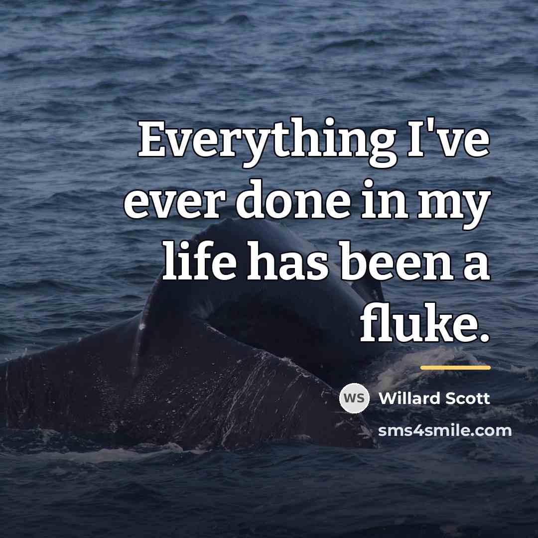 “Everything I've ever done in my life has been a…” quote by Willard Scott