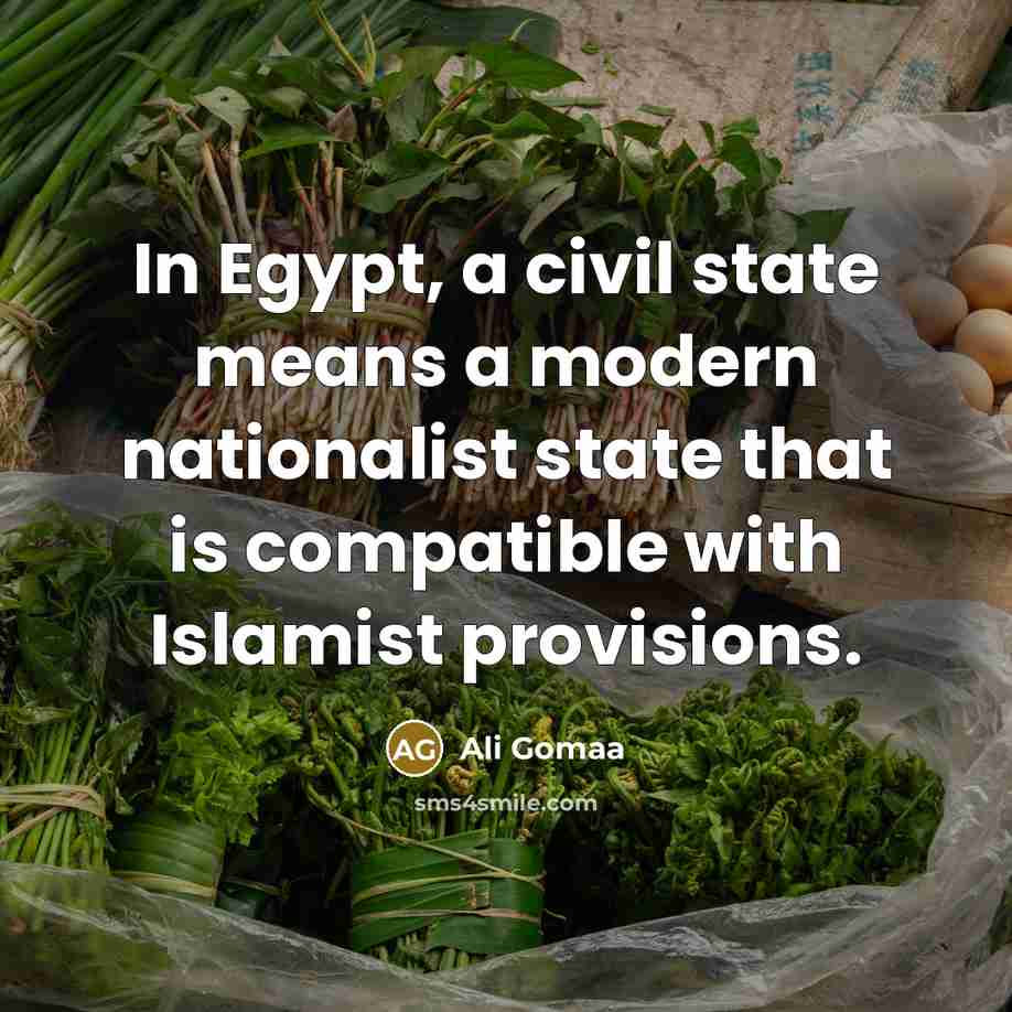 “In Egypt, a civil state means a modern nationalist state…” quote by Ali Gomaa