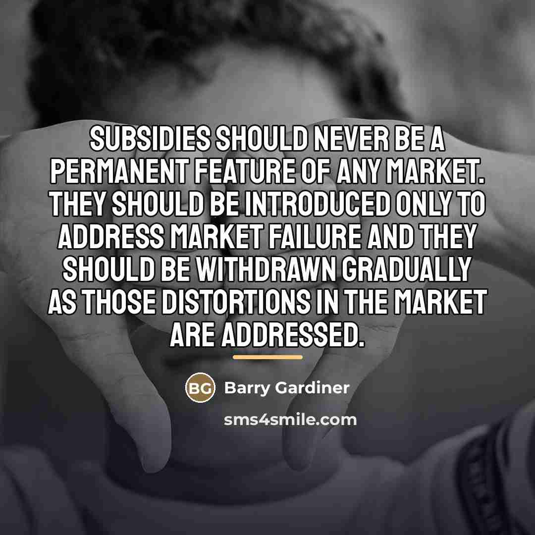 “Subsidies should never be a permanent feature of any market.…” quote by Barry Gardiner