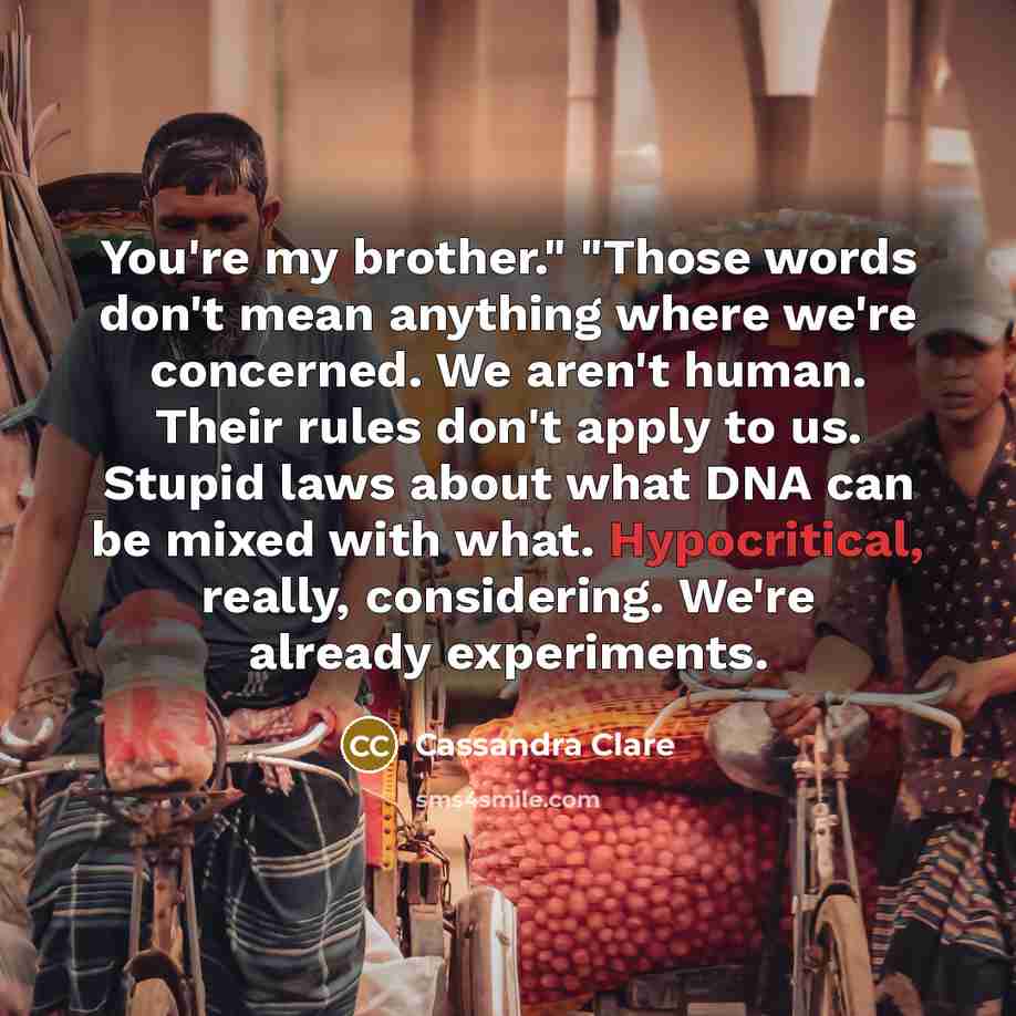“You're my brother." "Those words don't mean anything where we're…” quote by Cassandra Clare