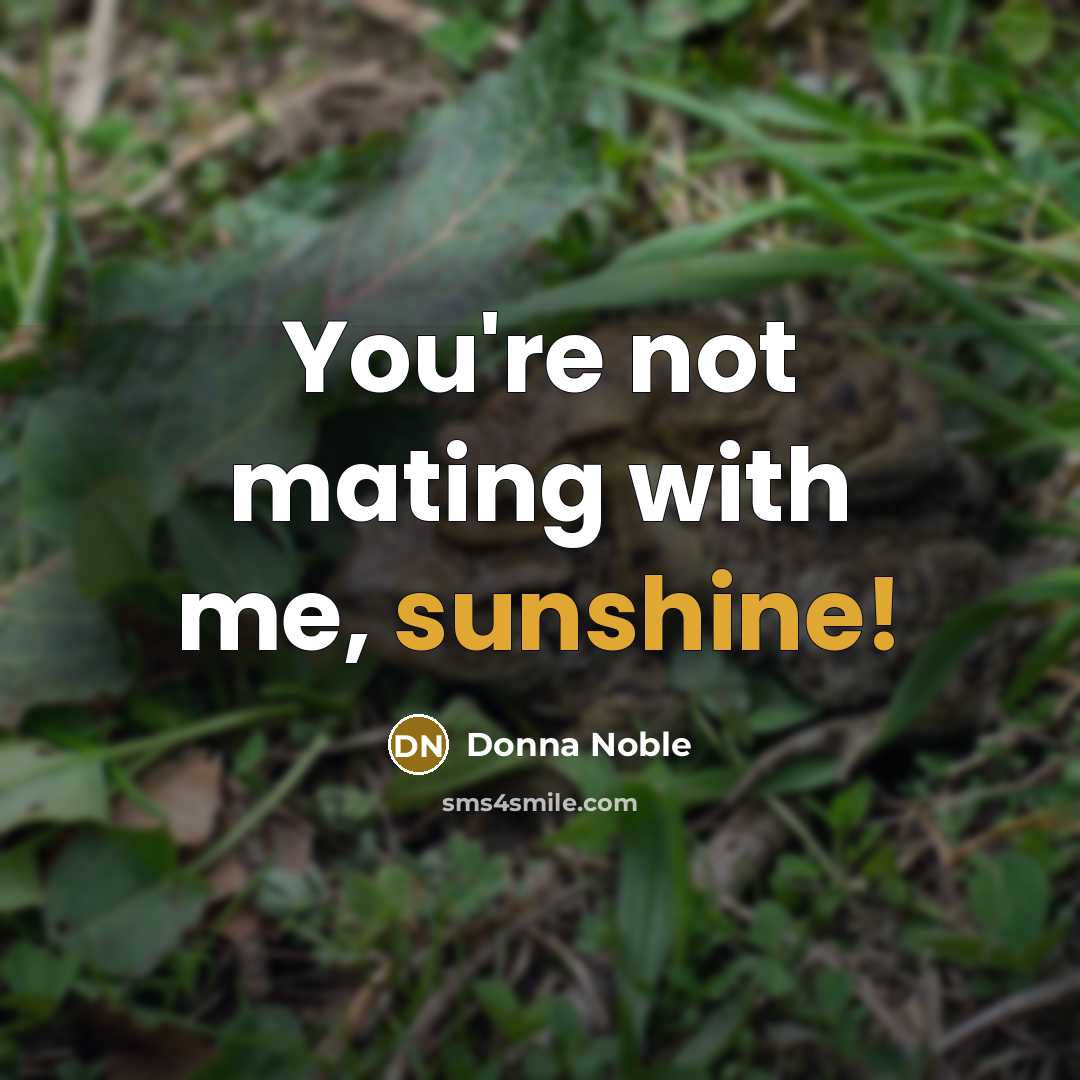 “You're not mating with me, sunshine!…” quote by Donna Noble