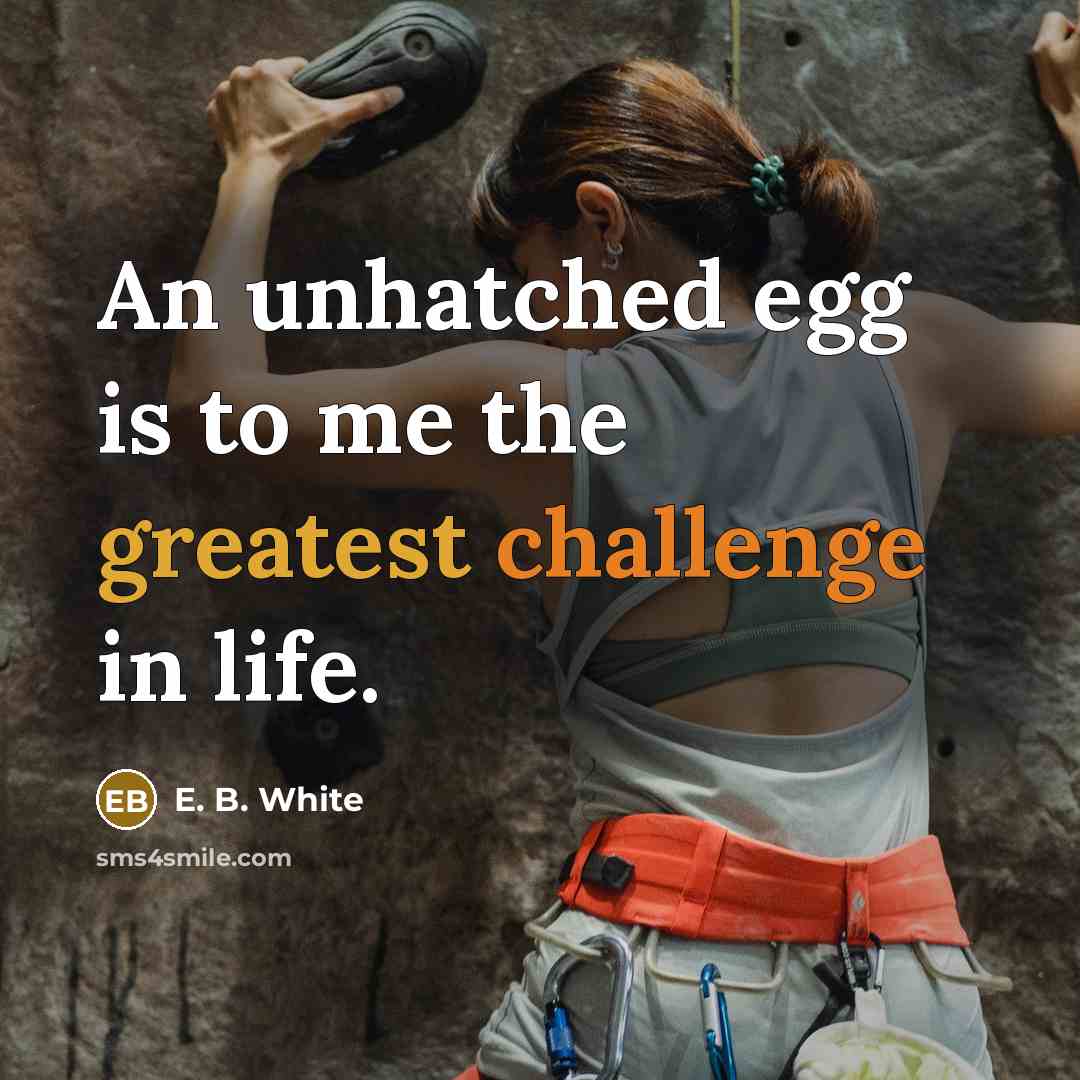 “An unhatched egg is to me the greatest challenge in life.” quote by E. B. White