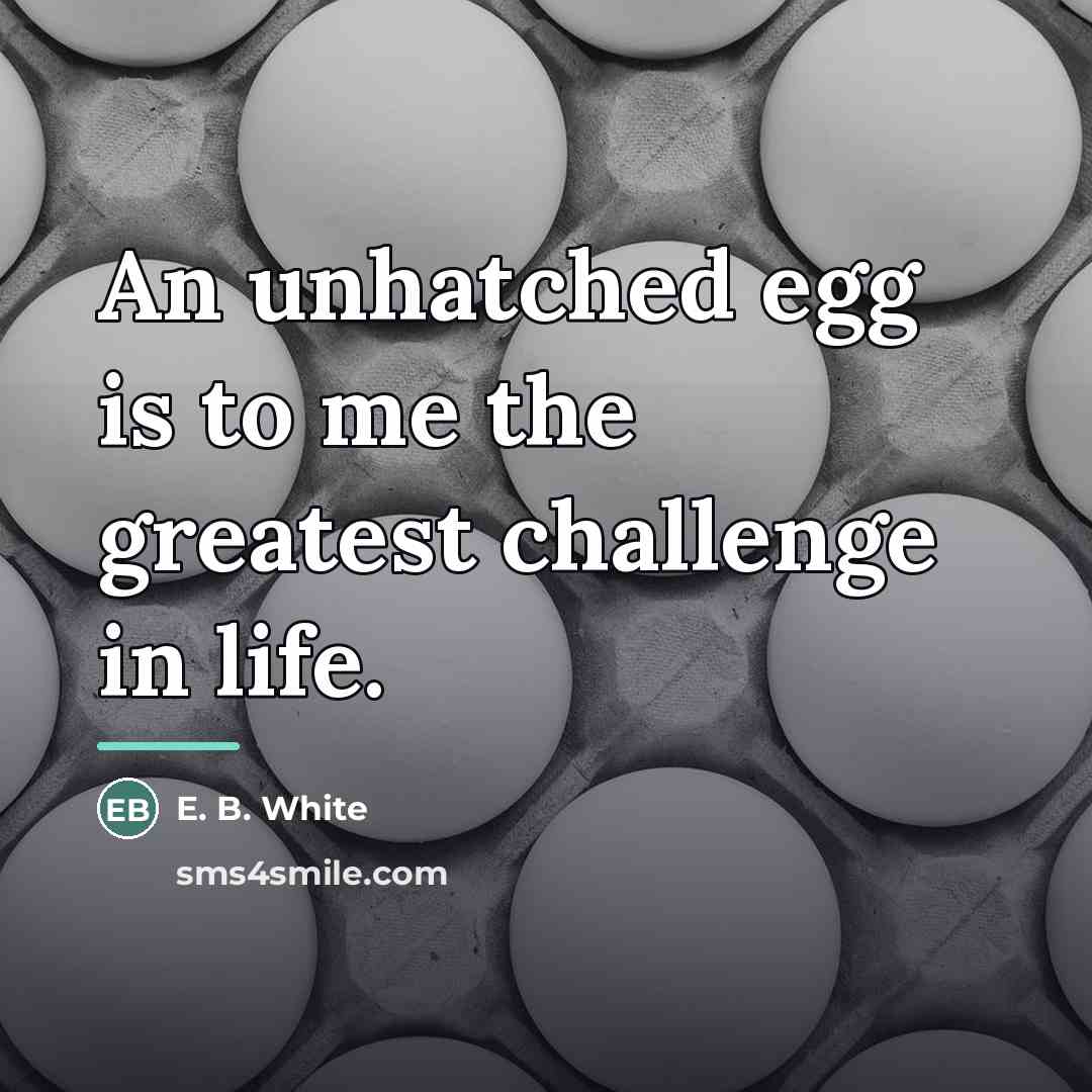 “An unhatched egg is to me the greatest challenge in…” quote by E. B. White