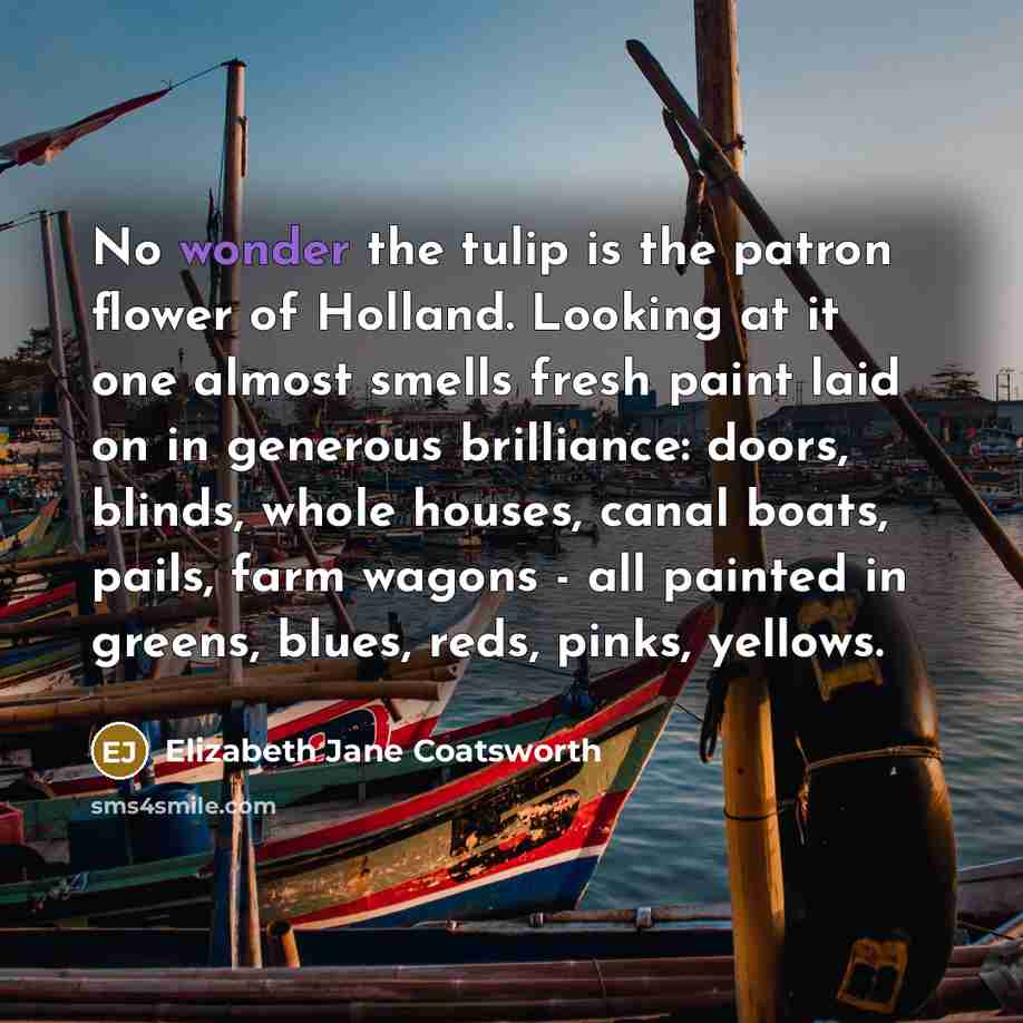 “No wonder the tulip is the patron flower of Holland.…” quote by Elizabeth Jane Coatsworth