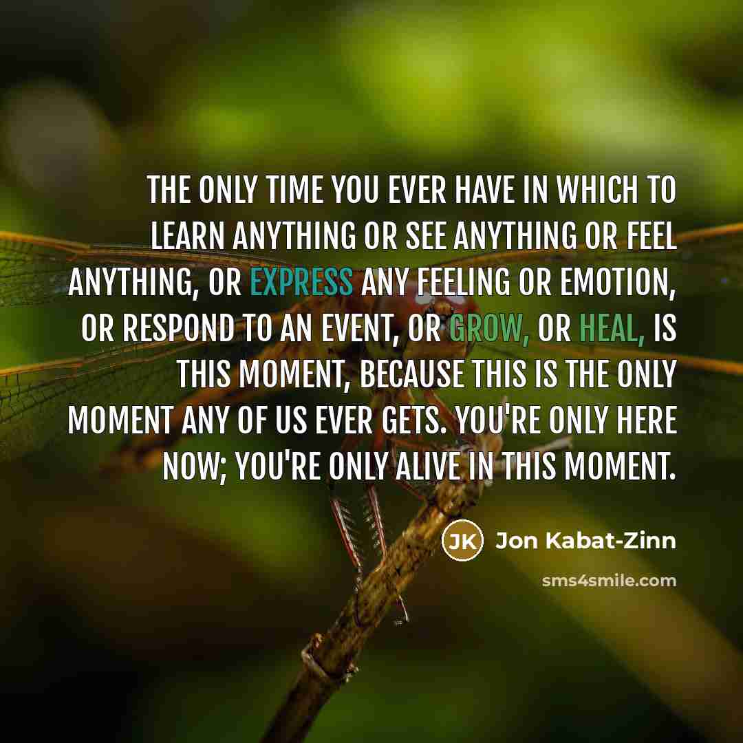 “The only time you ever have in which to learn…” quote by Jon Kabat-Zinn