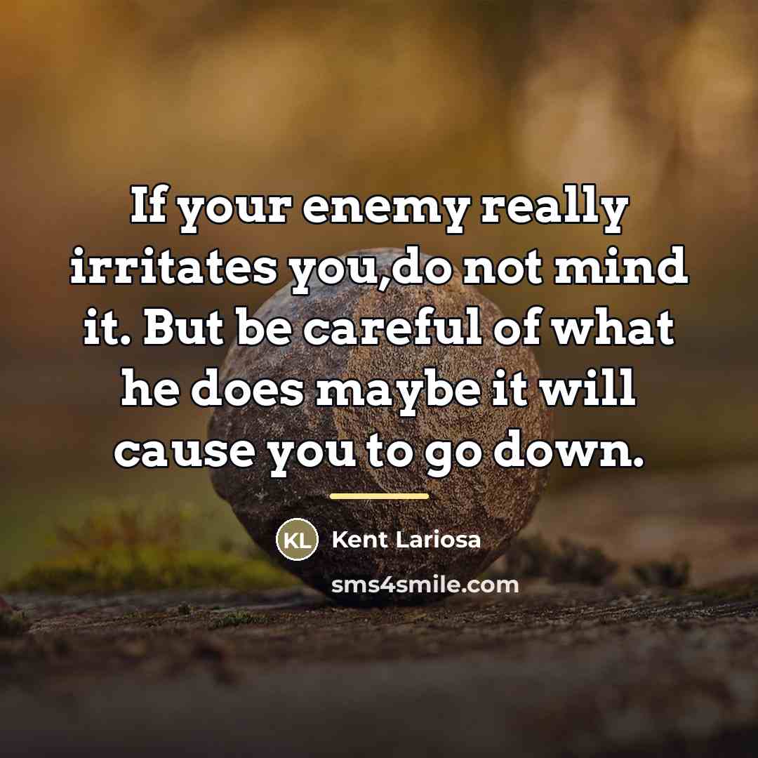 “If your enemy really irritates you,do not mind it. But…” quote by Kent Lariosa