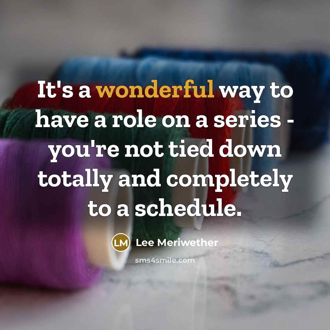 “It's a wonderful way to have a role on a…” quote by Lee Meriwether