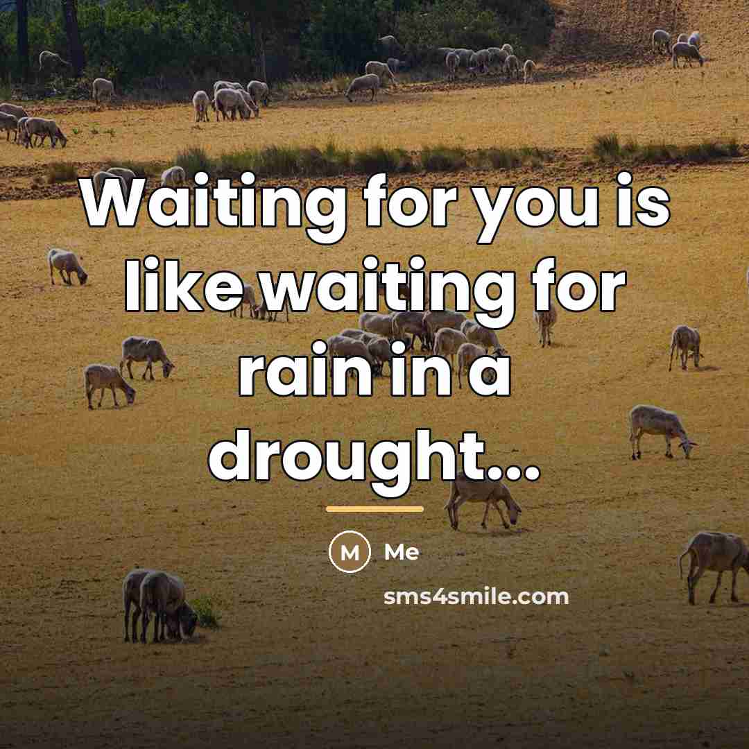 “Waiting for you is like waiting for rain in a…” quote by Me