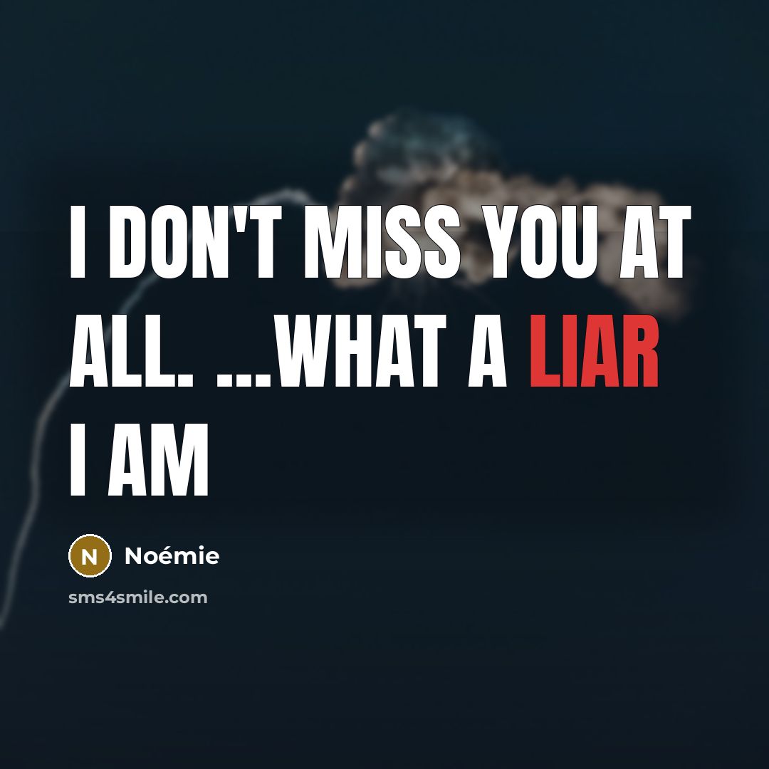 “I don't miss you at all. ...What a liar I am” quote by Noémie