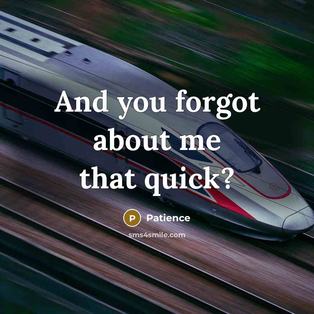 “And you forgot about me that quick?…” quote by Patience