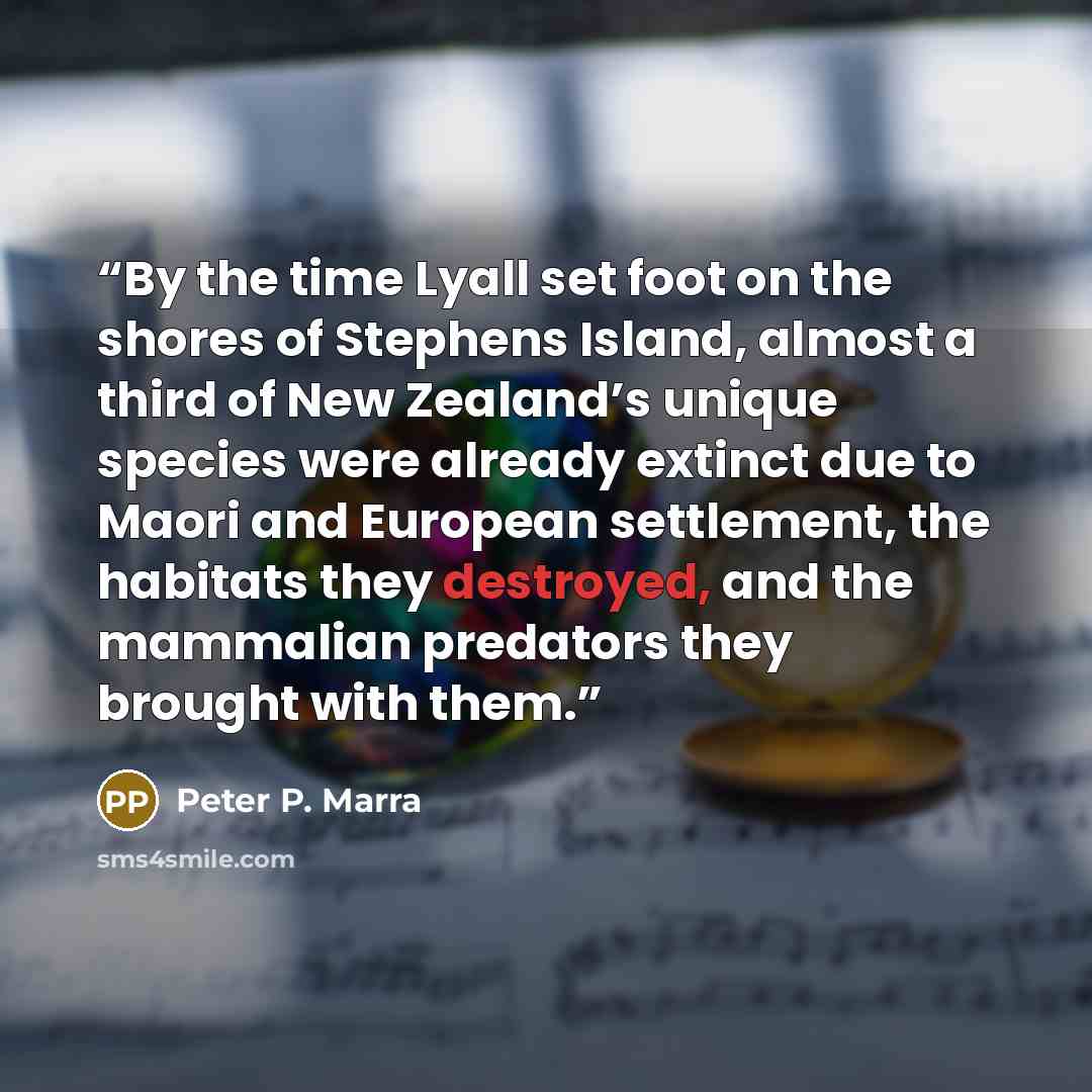 “By the time Lyall set foot on the shores of Stephens Island, almost a third of New Zealand’s unique species were already extinct due to Maori and European settlement, the habitats they destroyed, and the mammalian predators they brought with them.” quote by Peter P. Marra