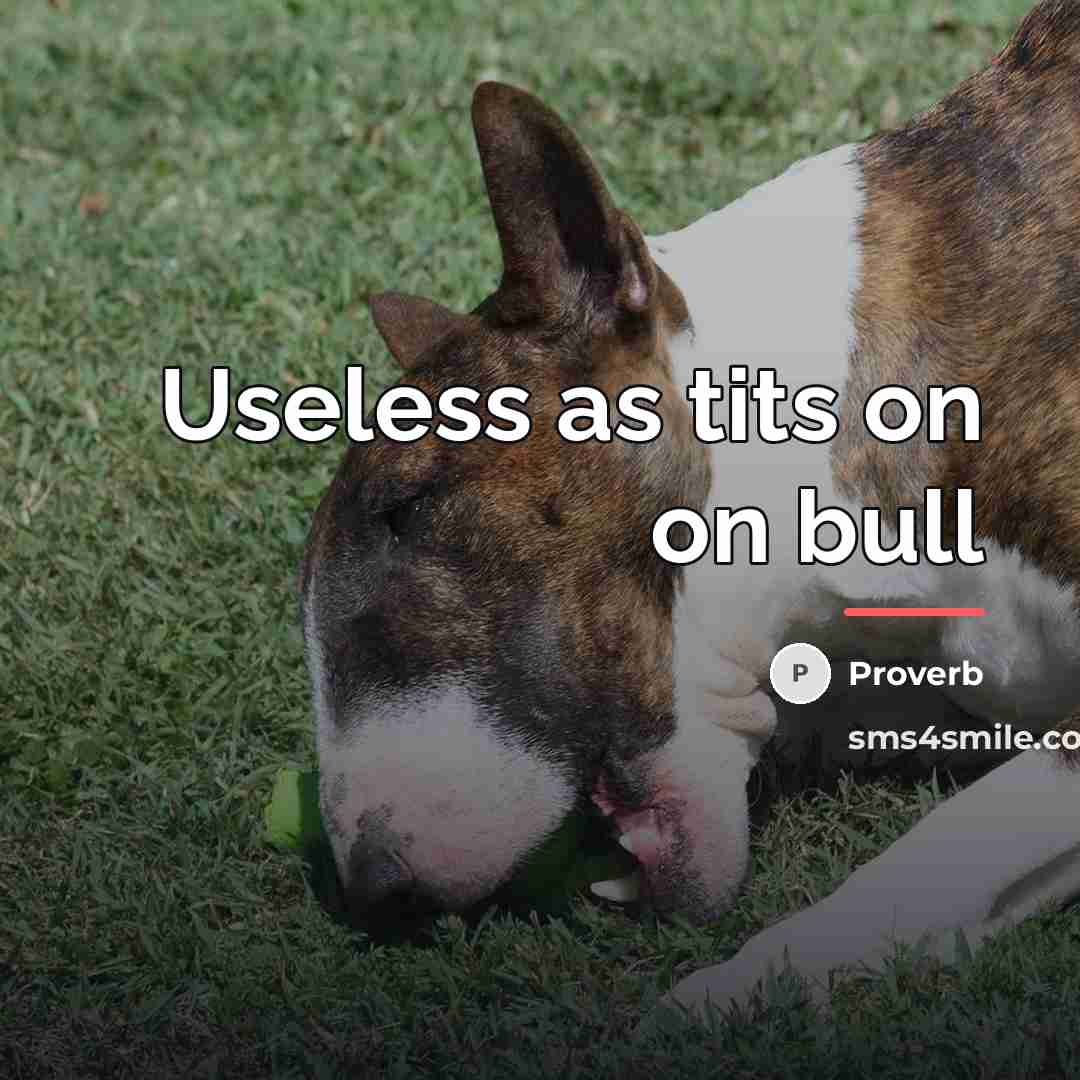 “Useless as tits on on bull…” quote by Proverb