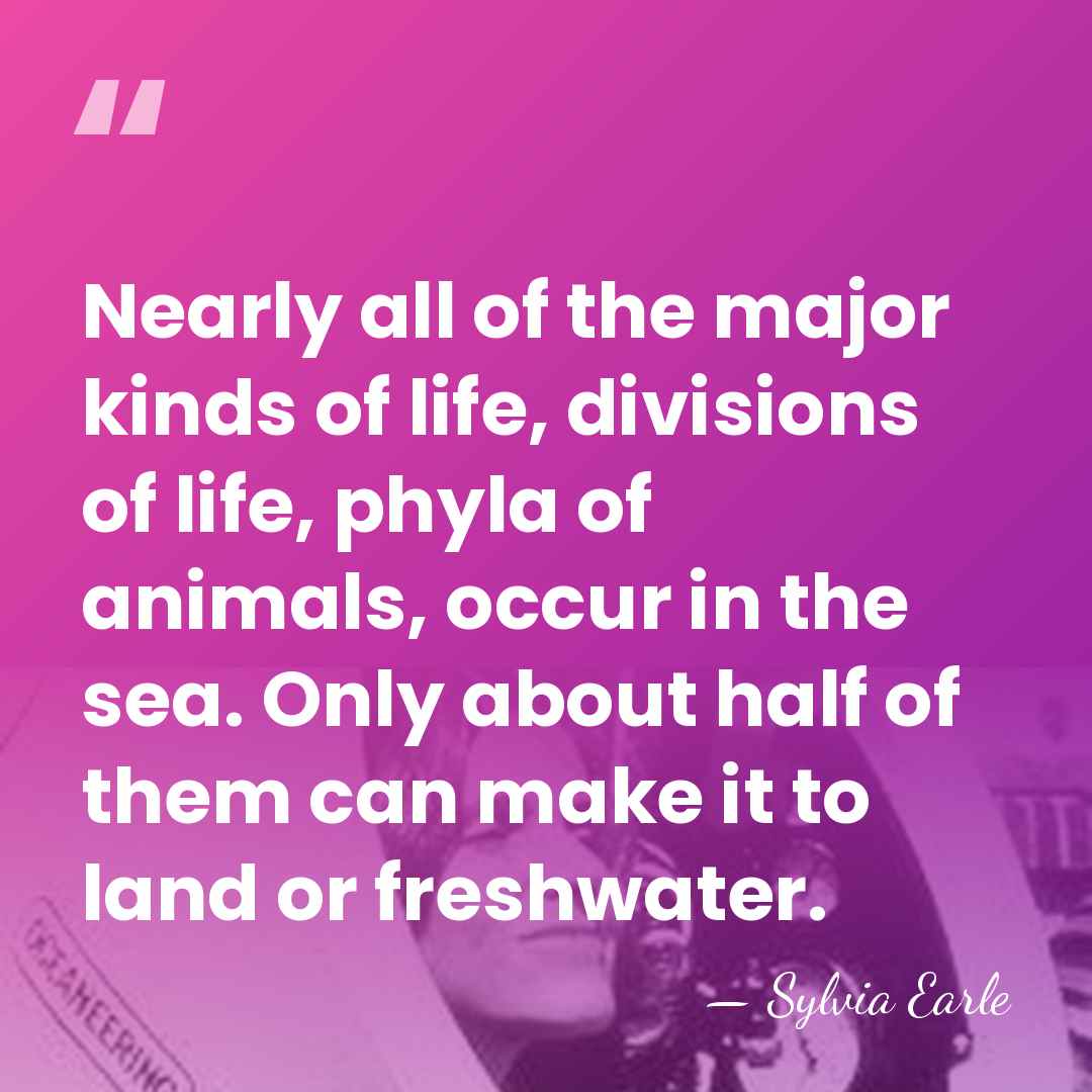 Nearly all of the major kinds of life, divisions of life, phyla&hellip; - Sylvia Earle