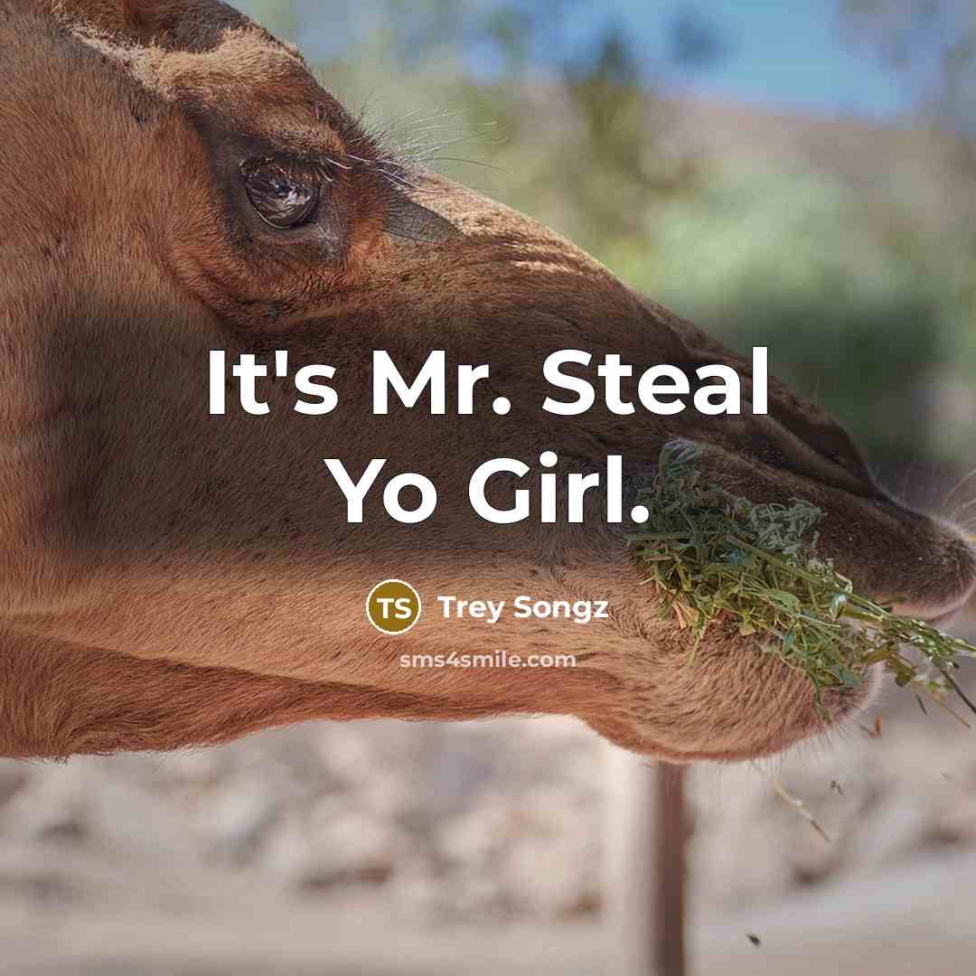“It's Mr. Steal Yo Girl.…” quote by Trey Songz