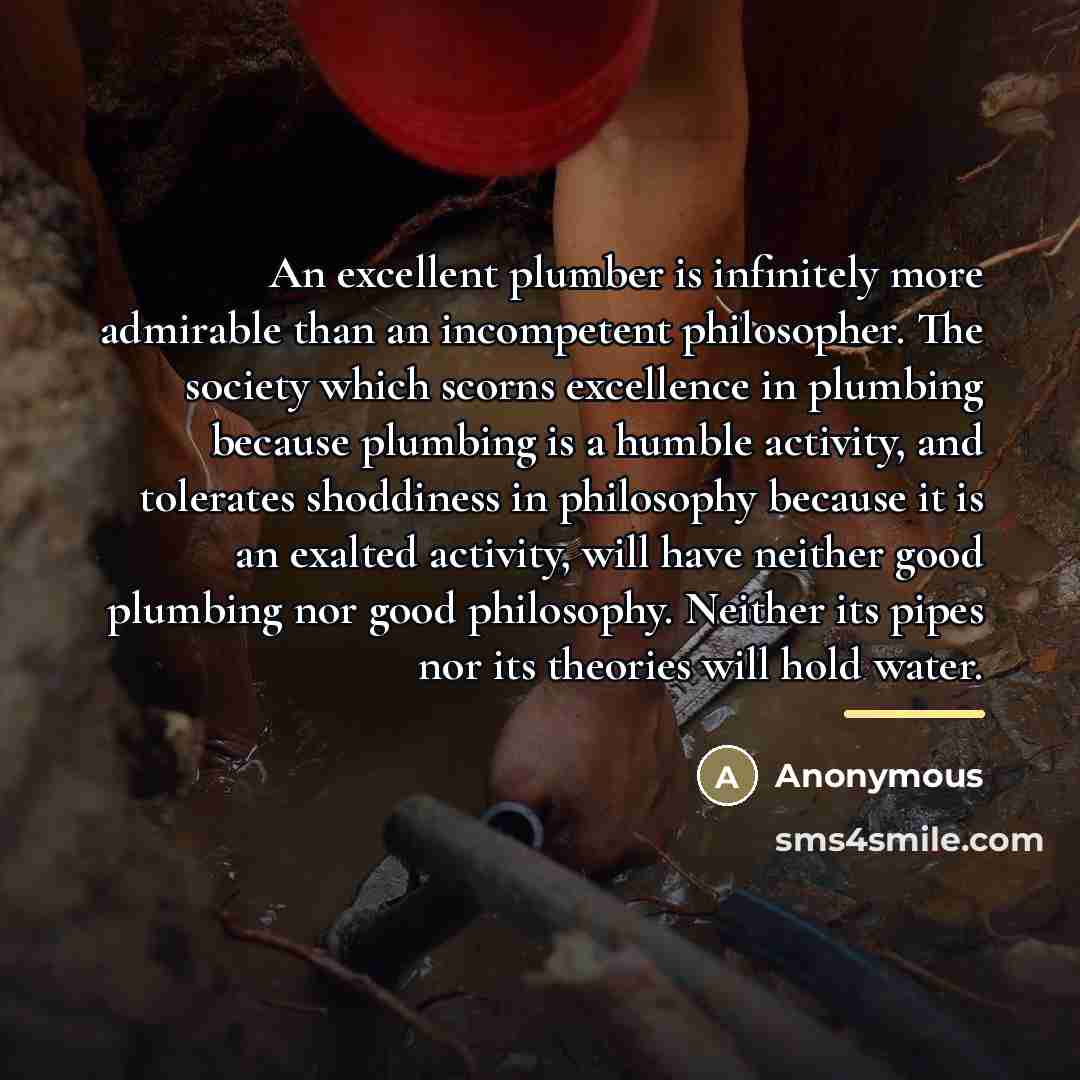 “An excellent plumber is infinitely more admirable than an incompetent…” quote by Anonymous