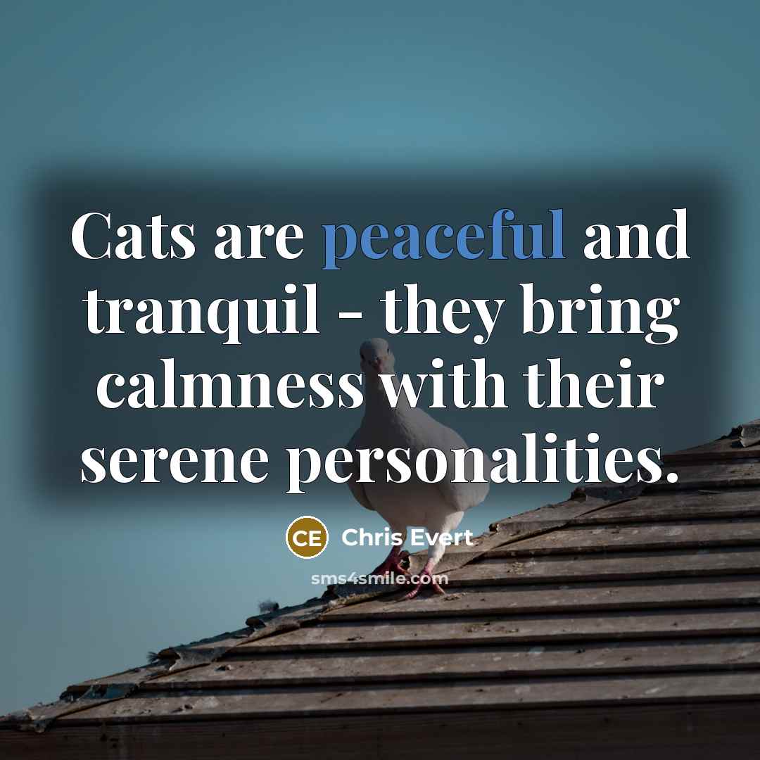 “Cats are peaceful and tranquil - they bring calmness with…” quote by Chris Evert