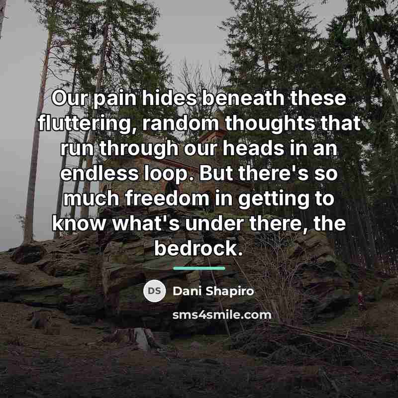 “Our pain hides beneath these fluttering, random thoughts that run…” quote by Dani Shapiro