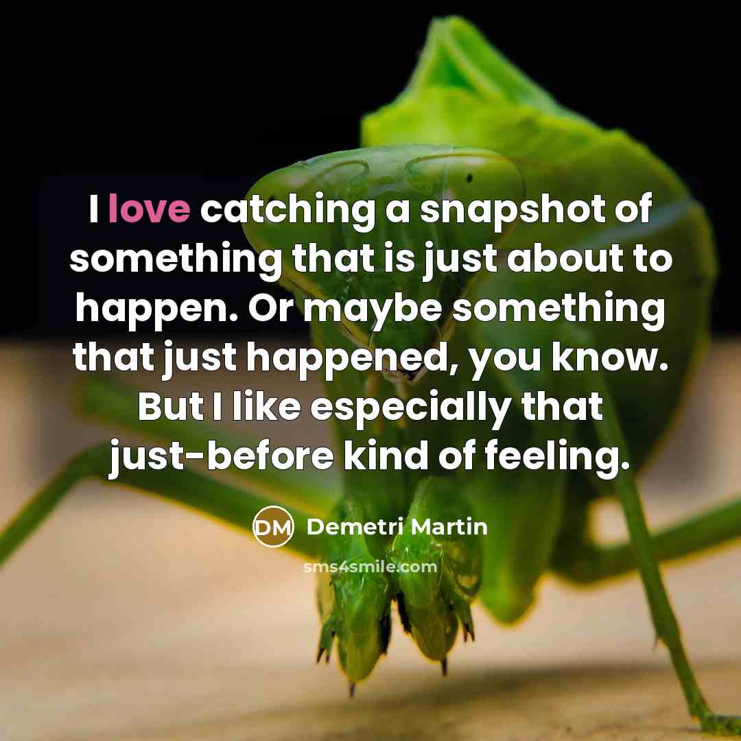“I love catching a snapshot of something that is just…” quote by Demetri Martin