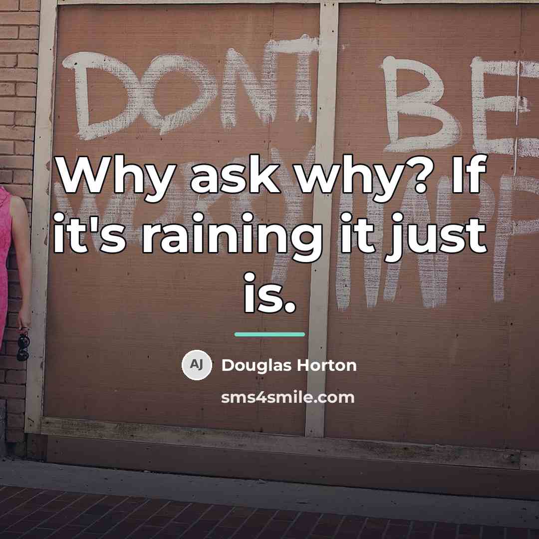 “Why ask why? If it's raining it just is.…” quote by Douglas Horton