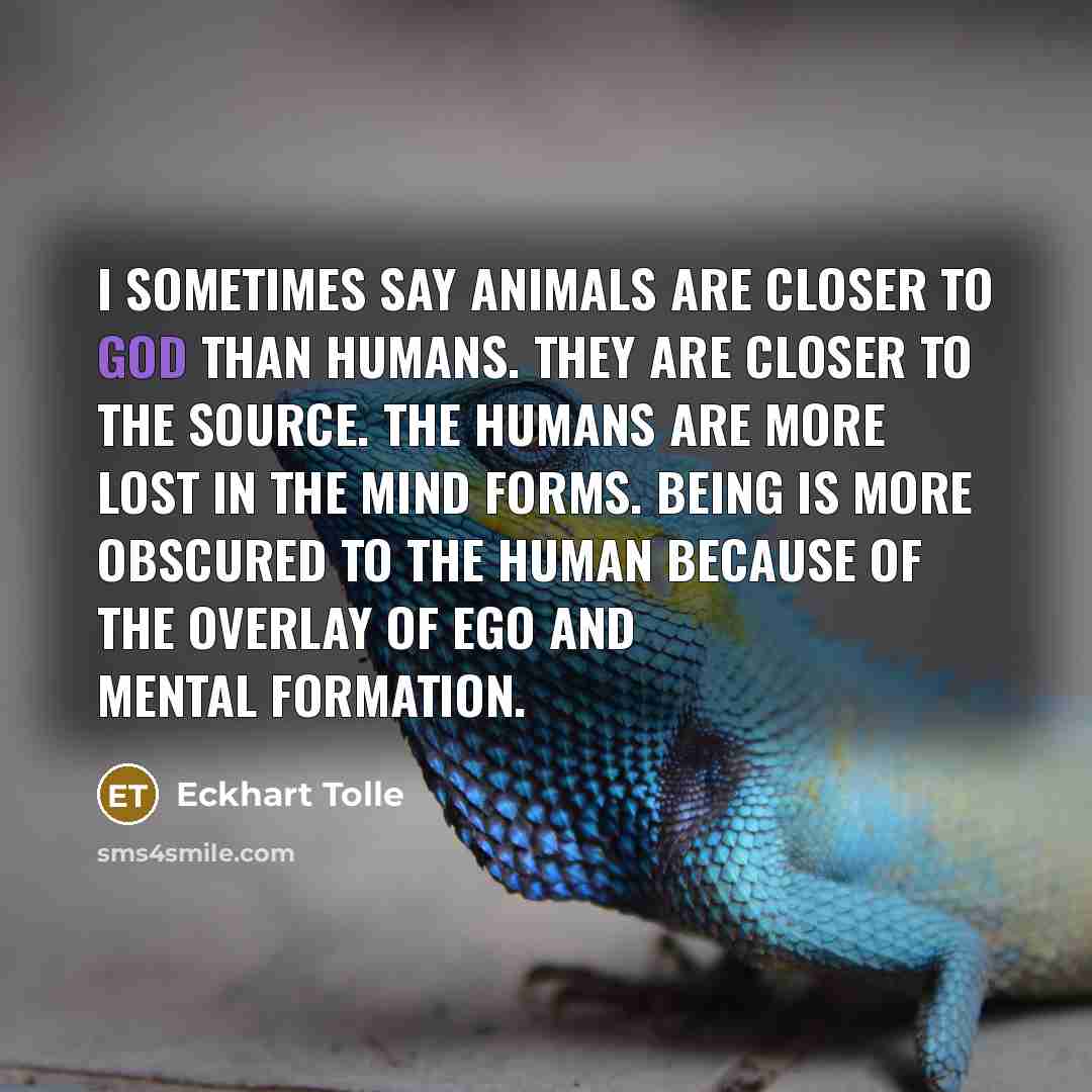 “I sometimes say animals are closer to God than humans.…” quote by Eckhart Tolle