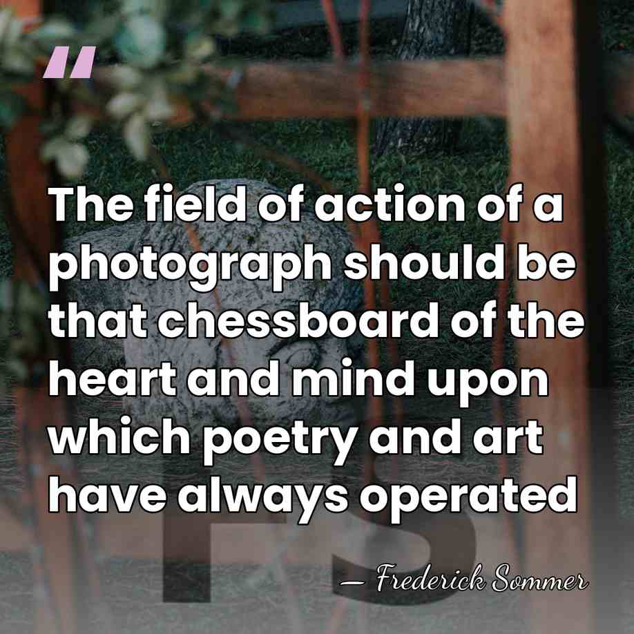 The field of action of a photograph should be that chessboard of&hellip; - Frederick Sommer