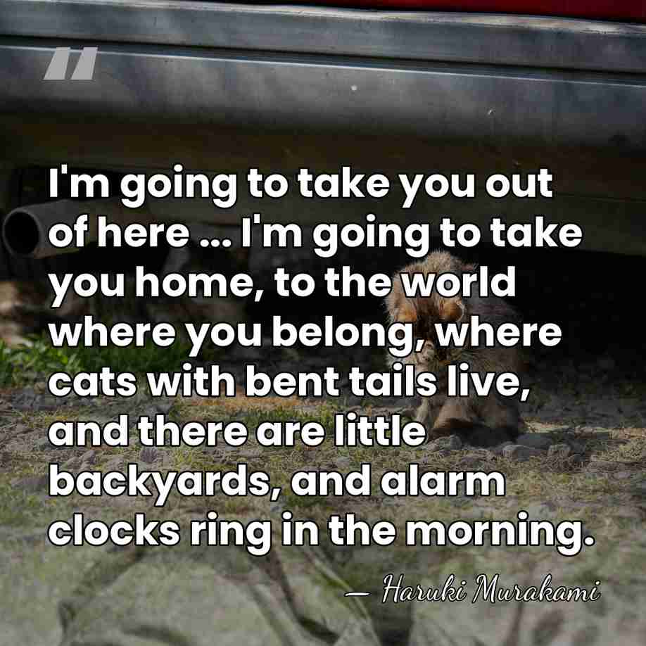 I'm going to take you out of here ... I'm going to&hellip; - Haruki Murakami