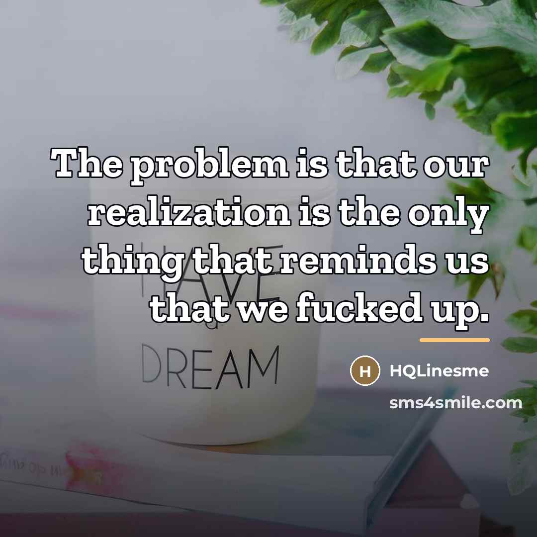 “The problem is that our realization is the only thing…” quote by HQLinesme